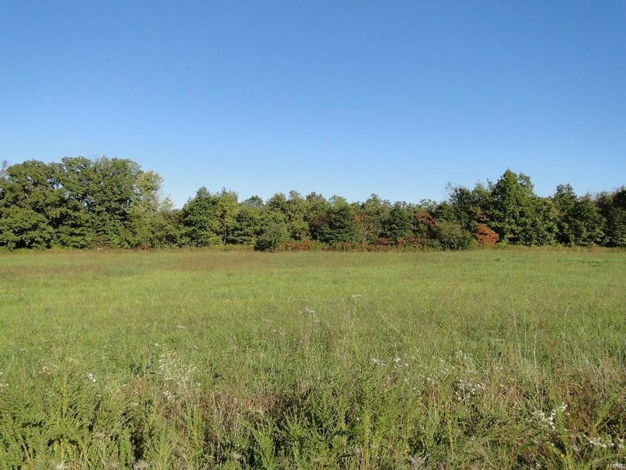 16850 Private Drive 2162 (Lot 18), Rolla, MO 65401 - photo 1