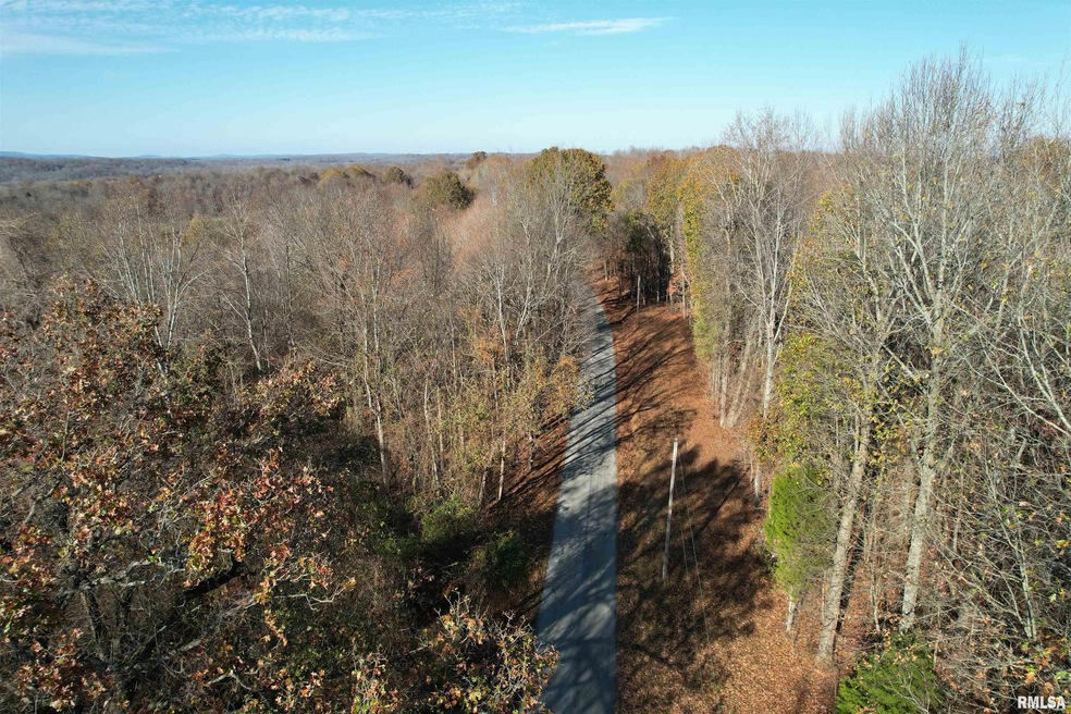 0 Airport Rd, Rosiclare, IL 62982 MLS RMAEB452719