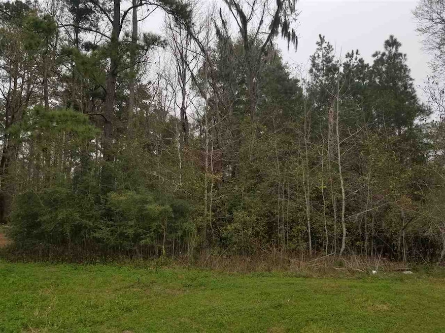 W Mahan Dr, Miccosukee, FL 32309 - photo 1