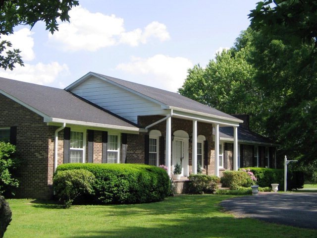 Main View