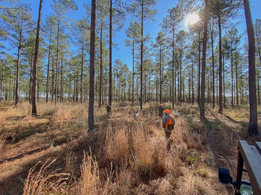 12404 Dozier Hwy, Brantley, AL 36009 - photo 1