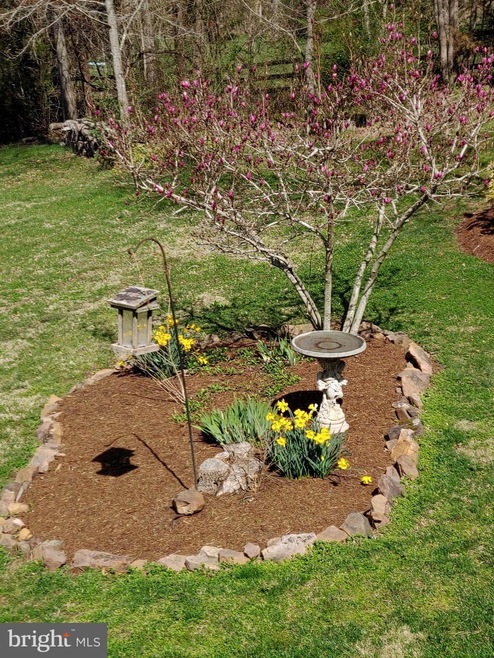 20479 Gleedsville Rd, Leesburg, VA 20175 - photo 1