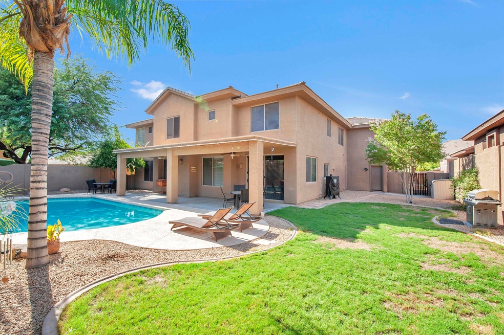 Back yard/pool 2