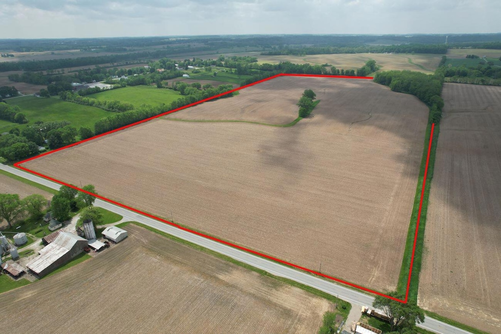 81.5 Acres S.R. 560 1 Boundary