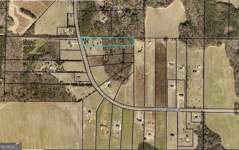 TRACT 18 Williams Cir, Elko, GA 31025 - photo 1