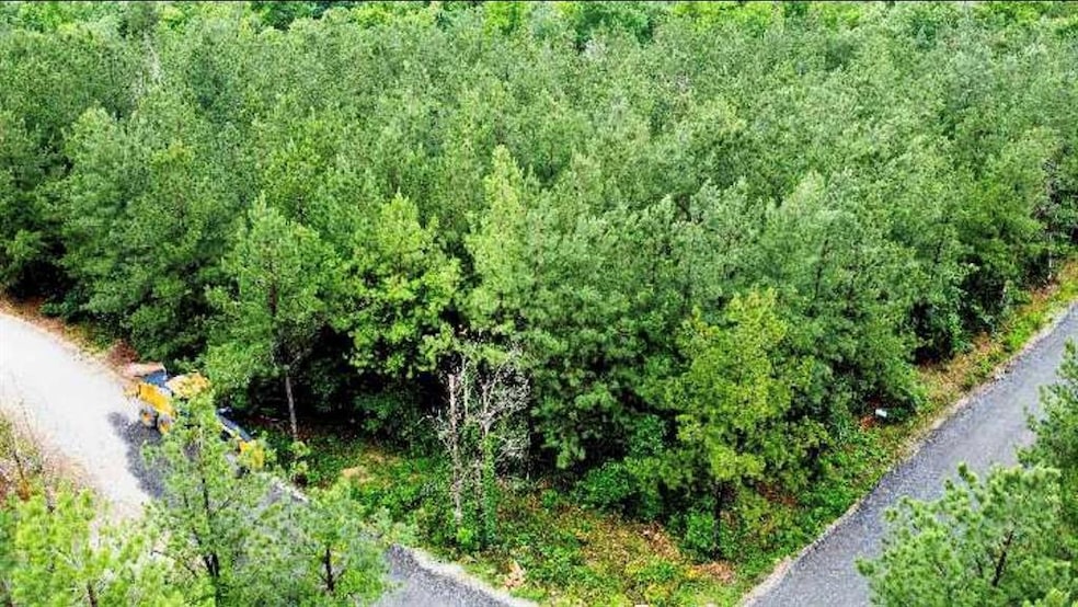 25 Mission Fig Trail, Broken Bow, OK 74728 - photo 1