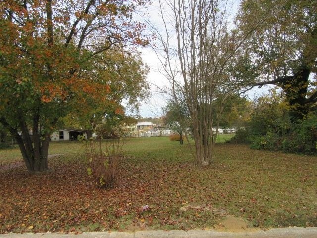 112 W College St, Oxford, NC 27565 - photo 1