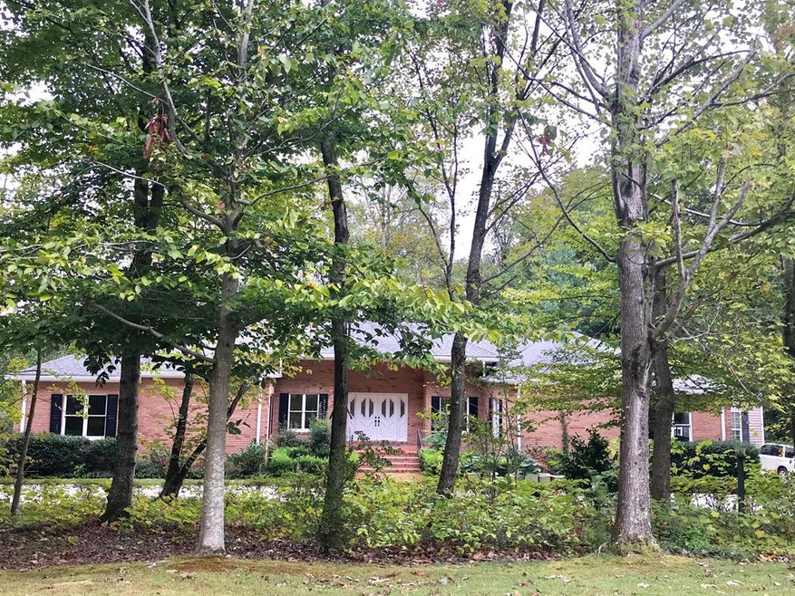 Main View
