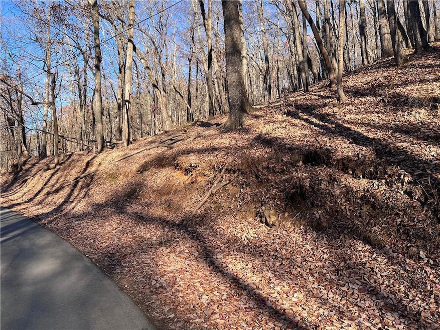 3381 Bella Vista Trail, Jasper, GA 30143 - photo 1