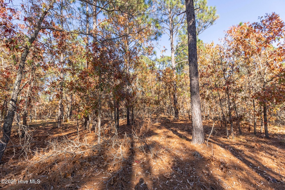 465 Roundabout Rd, Carthage, NC 28327 - photo 1