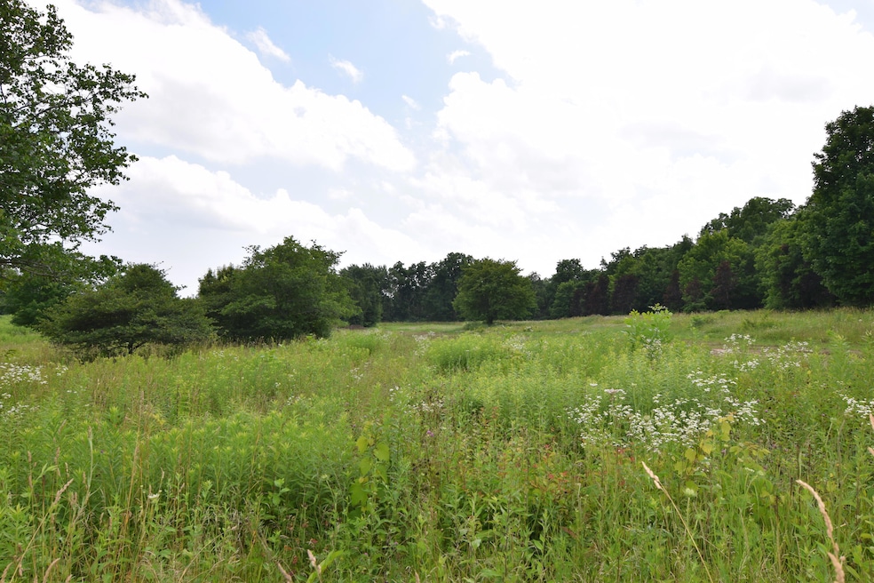 View - Facing South - Lot 3