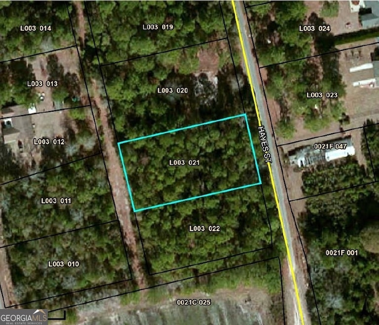 0 Hayes Rd, Lenox, GA 31637 - photo 1