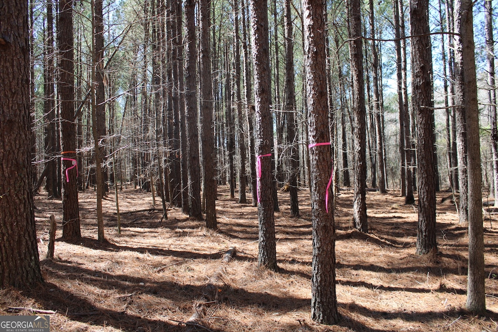 0 Jackson Gin Rd unit 10469996, Harrison, GA 31035 - photo 1