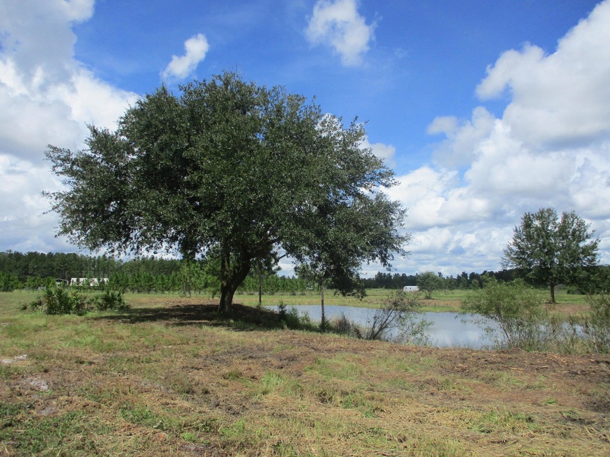 56161 Davis Rd, Callahan, FL 32011 - photo 1