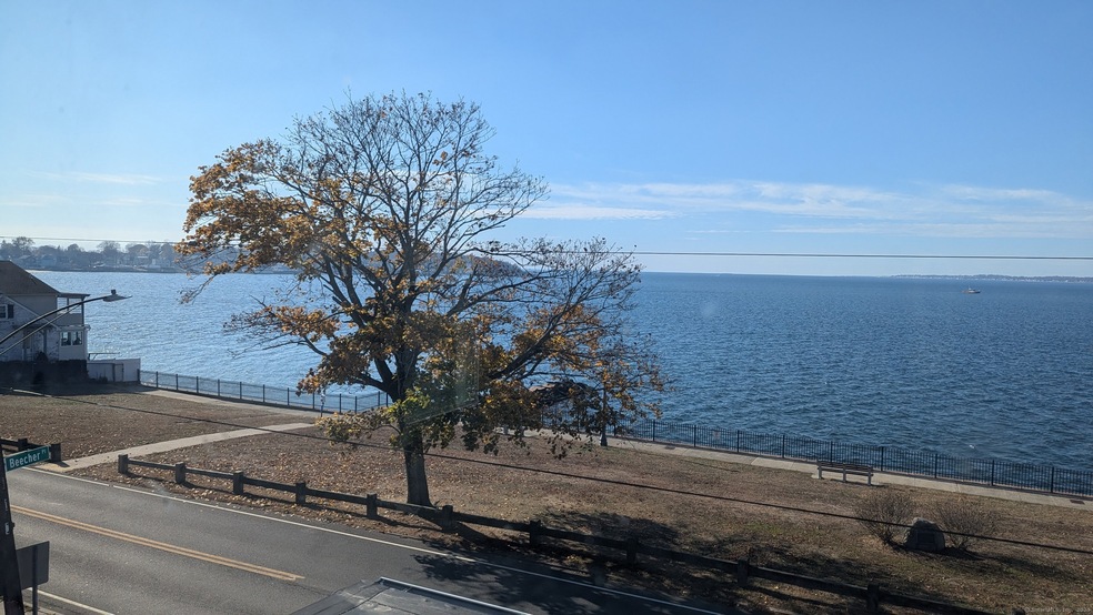 183 Townsend Ave unit D, New Haven, CT 06512 - photo 1