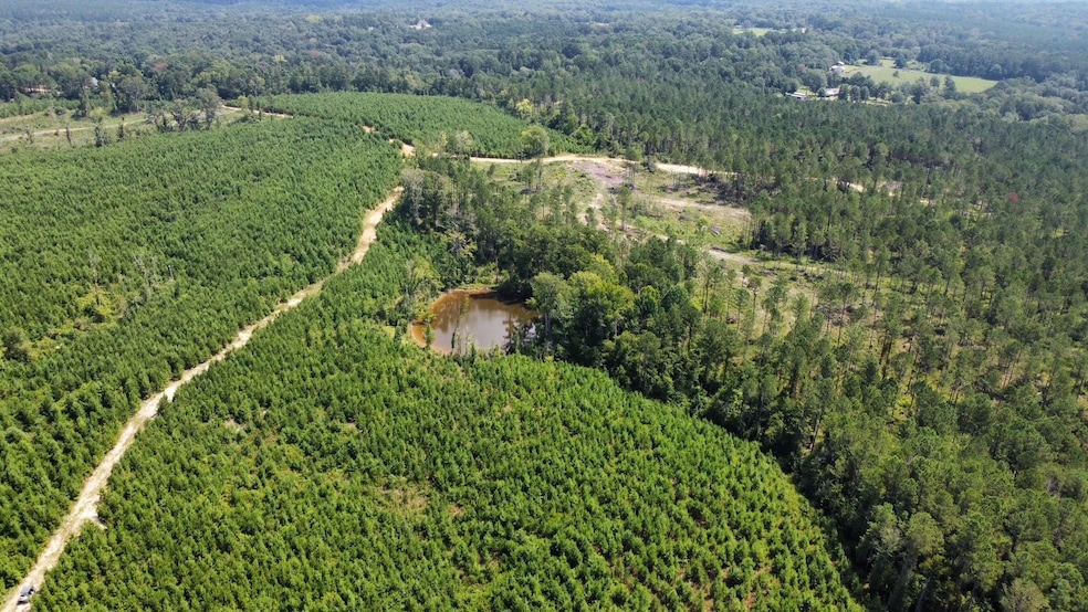 + - 130 Acres unit Simpson County MS, New Hebron, MS 39149 - photo 1