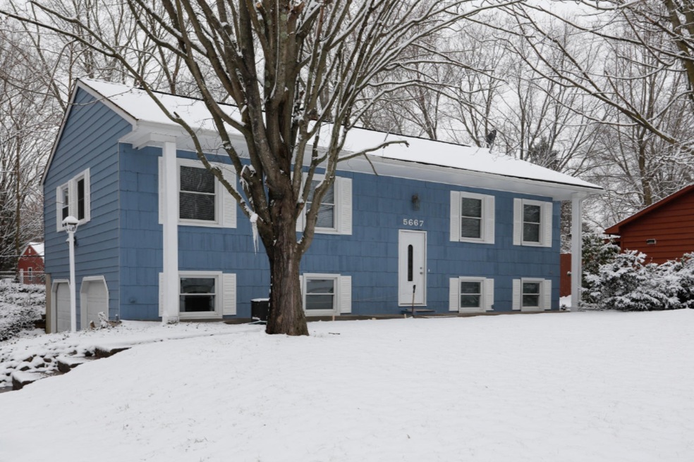 5667 Castleton-101