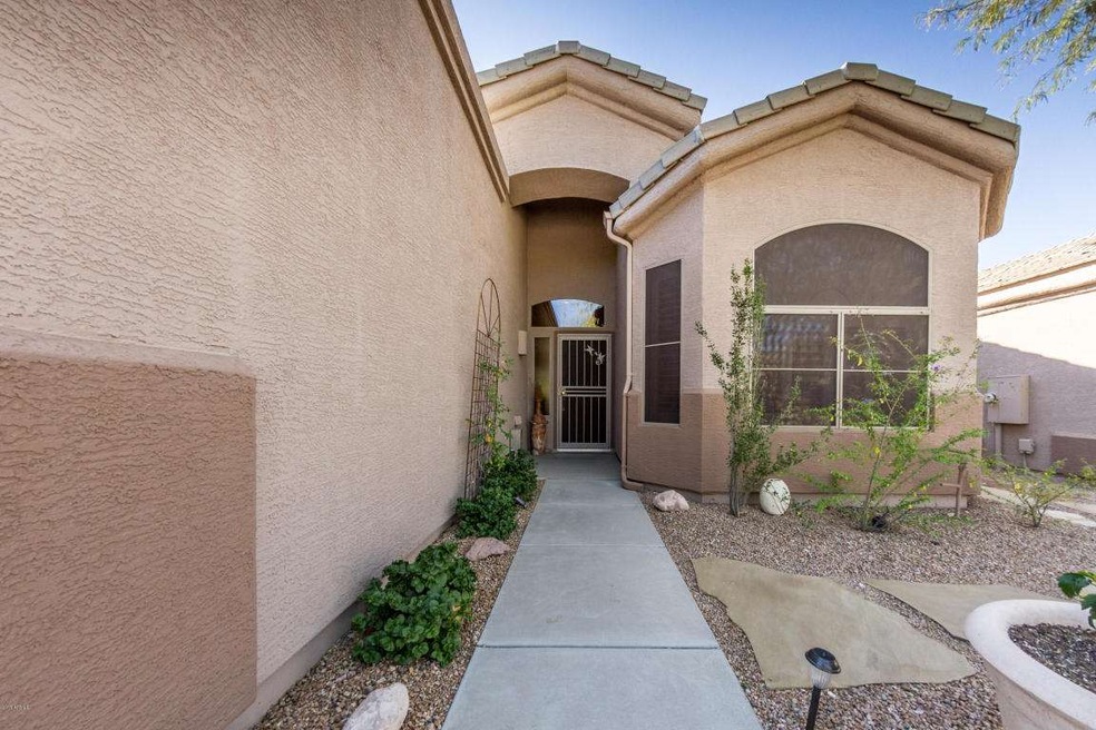 7143 E Canyon Wren