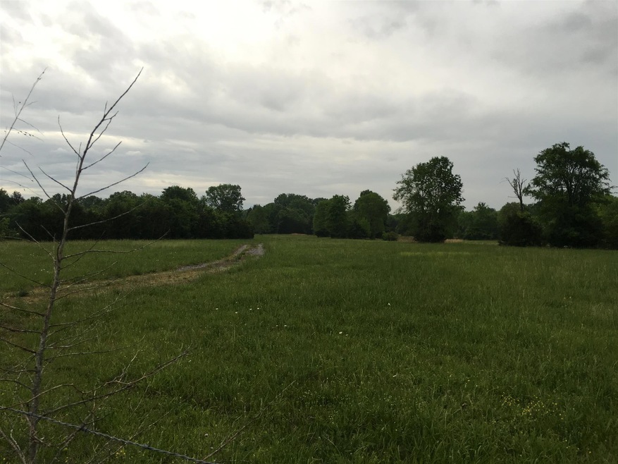 0 Virgil Crowell Rd unit 1726277, Shelbyville, TN 37160 - photo 1