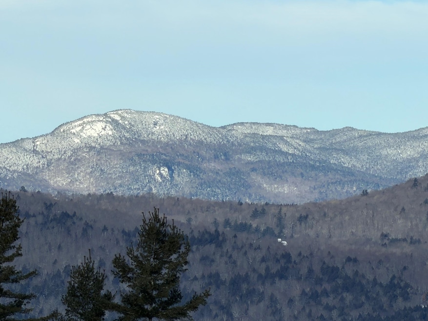 899 Common Rd, Waitsfield, VT 05673 - photo 1