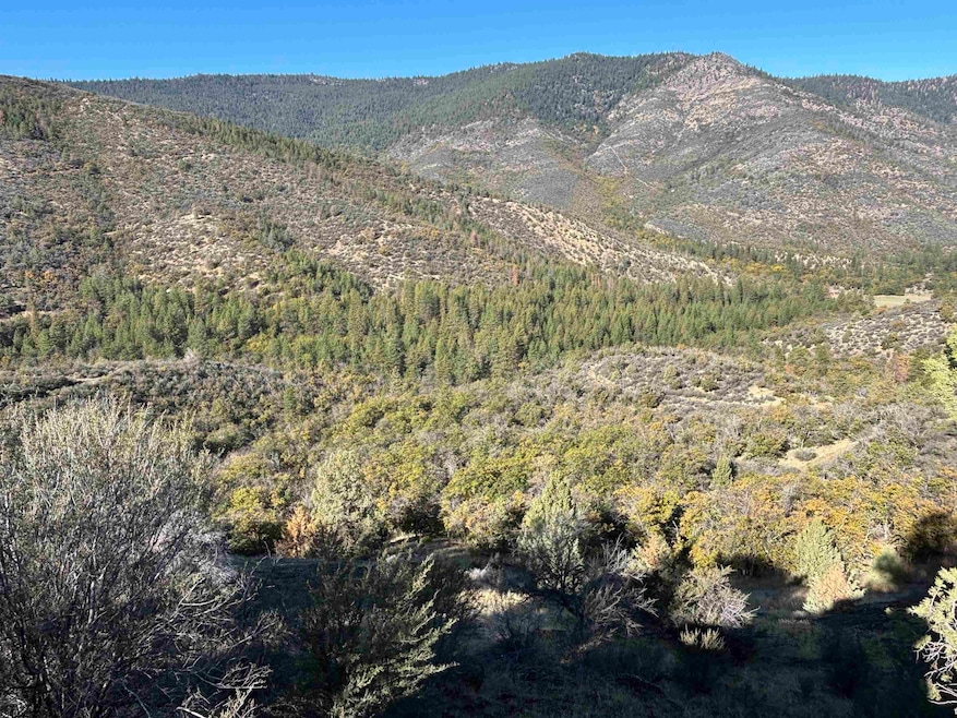 00 Guys Gulch Rd, Yreka, CA 96097 - photo 1