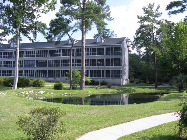 Main View