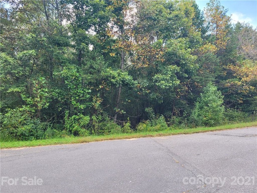 3.5 Hidden River Ln, Statesville, NC 28625 - photo 1