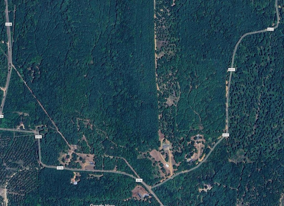 0 County Road 2117, Douglassville, TX 75560 - photo 1