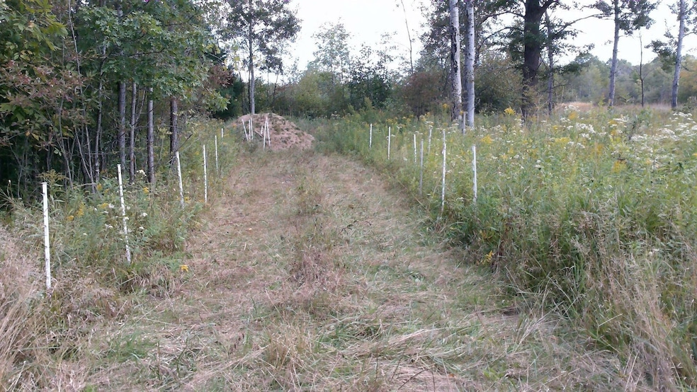 Sold $62,000 • Co-Listing Agent