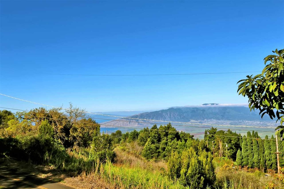 1067 Upper Kimo Dr, Kula, HI 96790 - photo 1