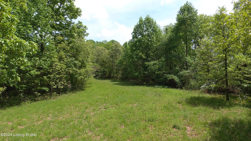 00 Eastview Rd, Eastview, KY 42732 - photo 1