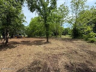 3.91 AC. RED BANKS RD.
