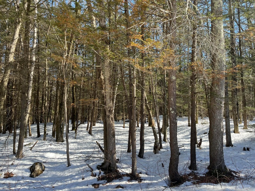 0 Highland Rd, Brunswick, ME 04011 - photo 1