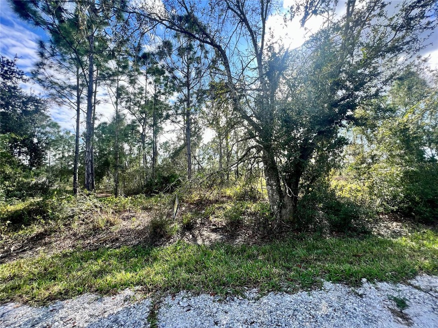 27101 Aloha Dr, Punta Gorda, FL 33955 - photo 1