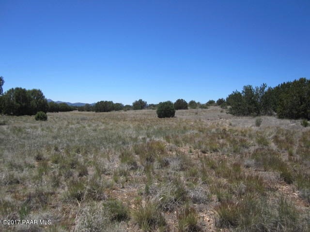 0 E Cougar Ridge Rd unit 1003603, Paulden, AZ 86334 - photo 1