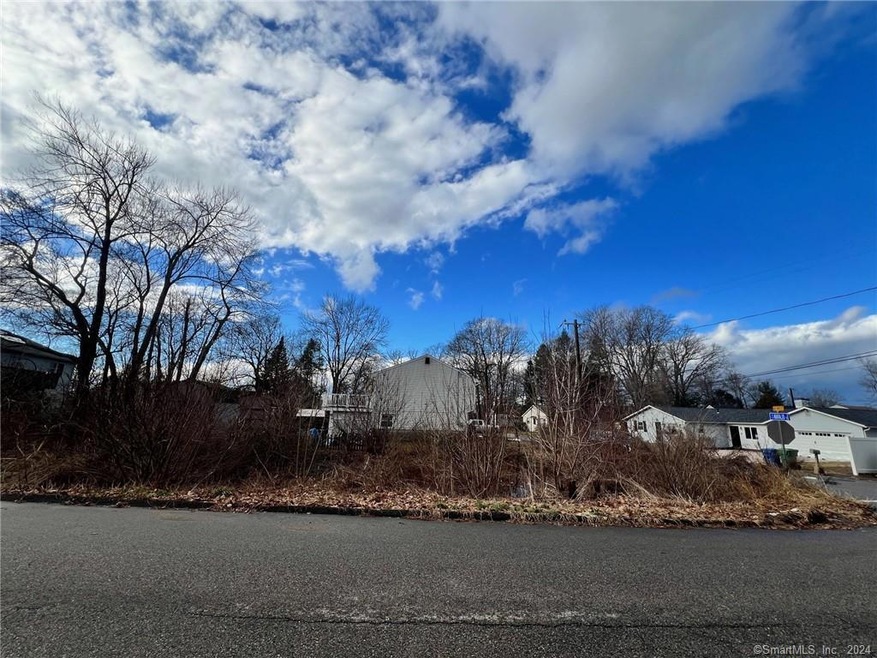 1 Navajo Trail, East Hampton, CT 06424 - photo 1