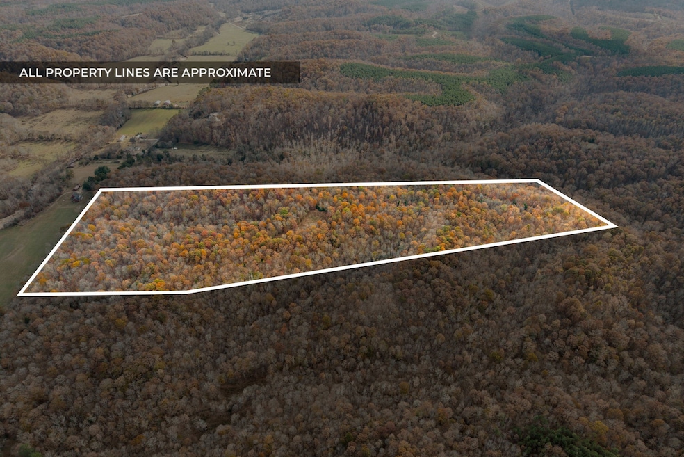 0 Upper Standing Rock Rd unit RTC3048870, Dover, TN 37058 - photo 1