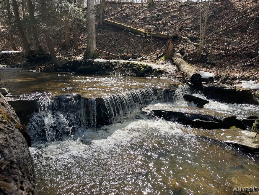 1292 Halls Corners Rd, Attica, NY 14011 - photo 1