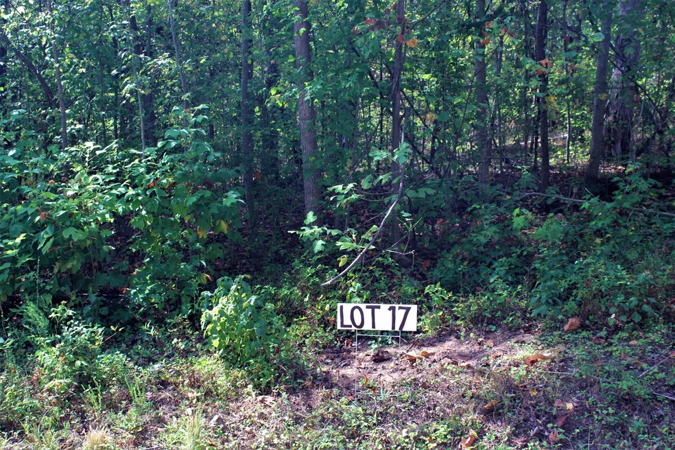 Lot 17 Photo