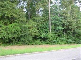 0 Cook Rd unit 293307, Prattville, AL 36067 - photo 1