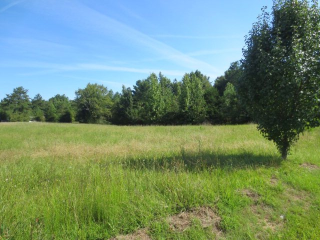 0 Cr 129, Oxford, MS 38655 - photo 1