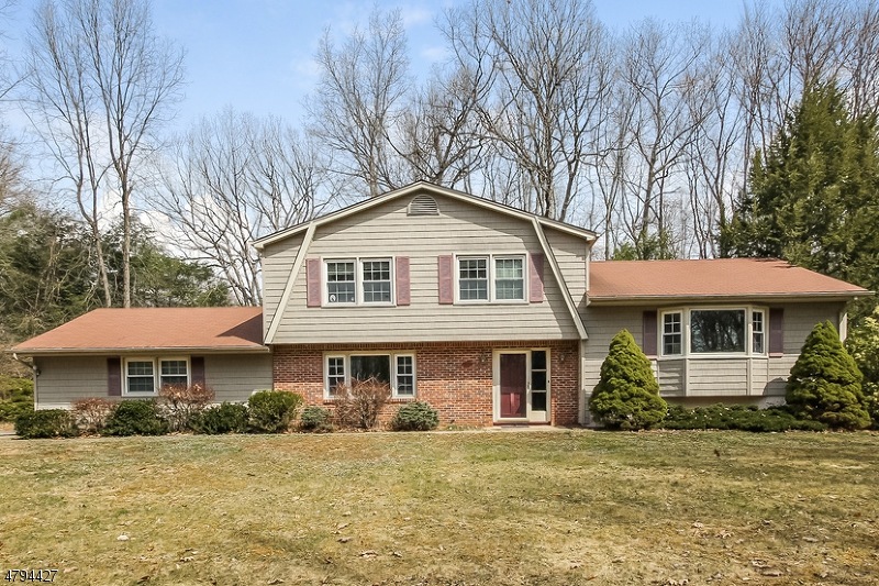 21 Phyllis Dr, Succasunna, NJ 07876 - photo 1