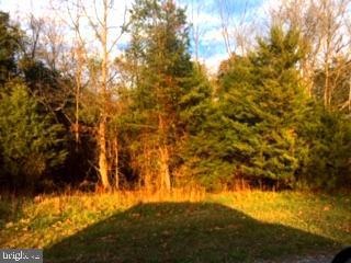 0 Wren Ln unit VASH117756, Strasburg, VA 22657 - photo 1