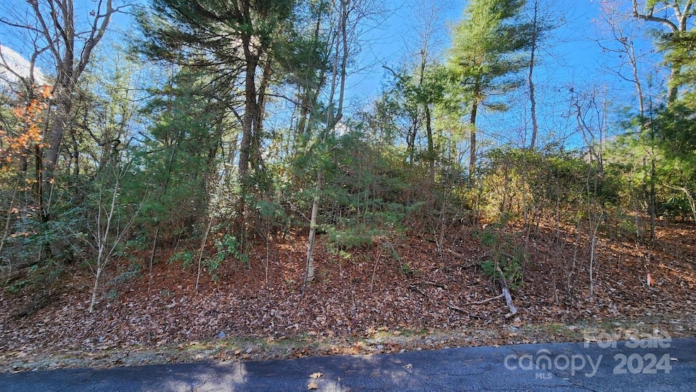 9999 Old Chestnut Ln unit 1, Hendersonville, NC 28739 - photo 1