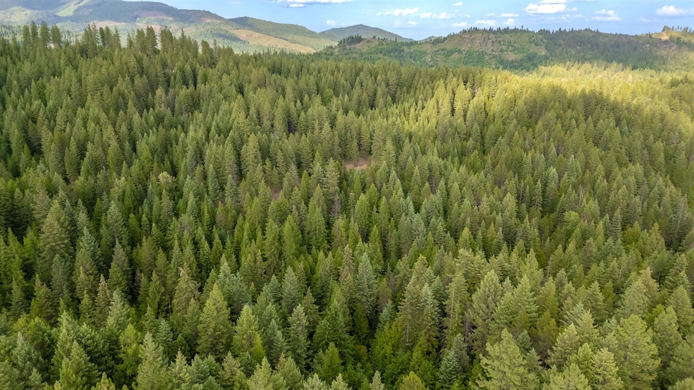 00 Buck Creek Rd, Loon Lake, WA 99148 - photo 1