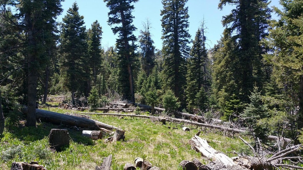 950 W Shale Cir unit ZVME E-129, Duck Creek Village, UT 84762 - photo 1