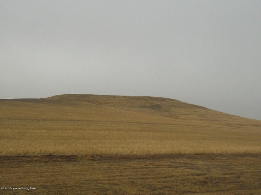 Looking North