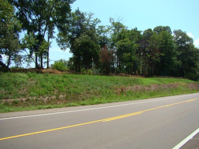 0 Highway 641 S, Springville, TN 38256 - photo 1