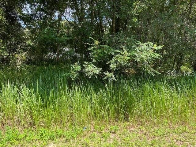 Lot 21 and 22 NW 12 Ct, Ocala, FL 34475 - photo 1