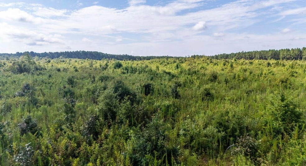 9ac Ouzts Rd, Edgefield, SC 29824 - photo 1